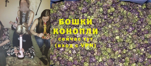 2c-b Новозыбков