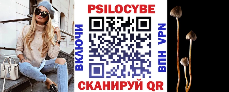 продажа наркотиков Муравленко Галлюциногенные грибы Magic Shrooms